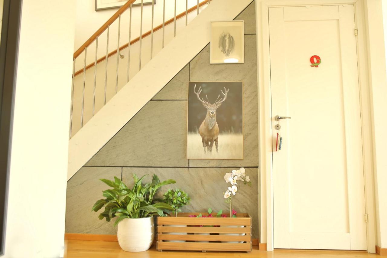 Nordic Lights Villa シグテューナ エクステリア 写真